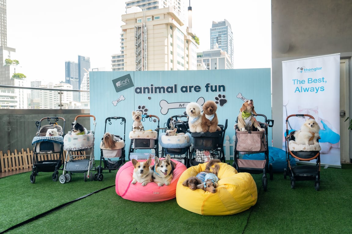 Animal Are Fun at Aloft Bangkok!  ชวนคนรักน้องหมาอิ่มอร่อยกับ Sunday Brunch & Bark ใจกลางสุขุมวิท พร้อมบุฟเฟต์สำหรับเพื่อนซี้สี่ขา  ณ ห้องอาหารเครฟ โรงแรม อลอฟท์ กรุงเทพ สุขุมวิท 11